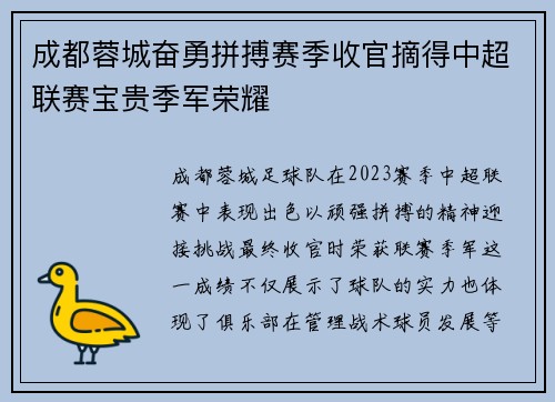 成都蓉城奋勇拼搏赛季收官摘得中超联赛宝贵季军荣耀